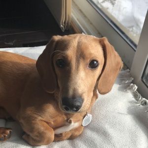 Meet your Posher, Moira